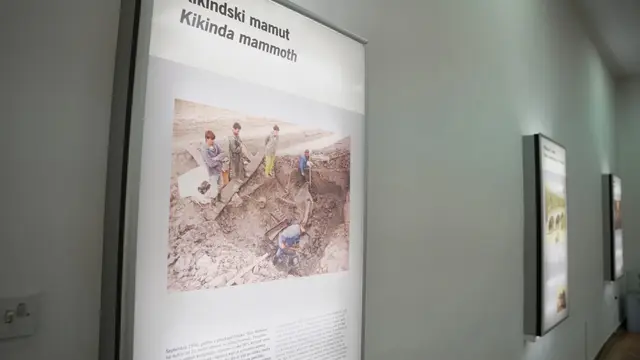 Mamutica Kika u Kikindi, foto: RINA