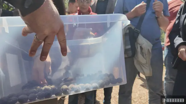 Izvršeno prvo pošumljavanje iz drona u Srbiji ikada/ Foto: RINA