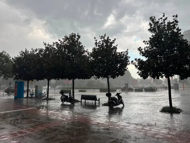 Jako olujno nevreme pogodilo Podgoricu / foto: RINA