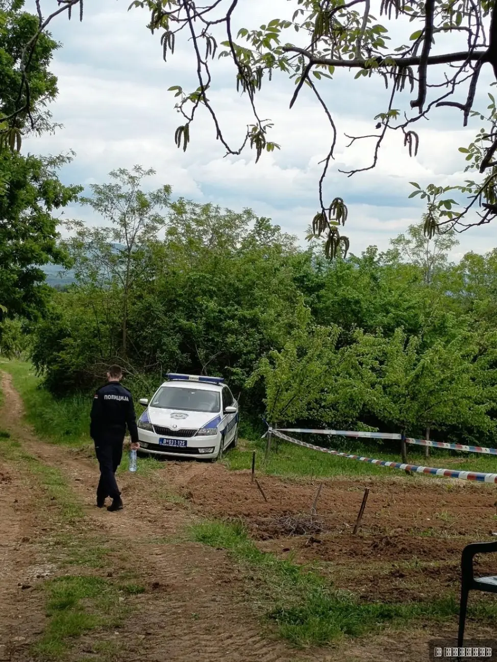 Prvi snimci iz Lozovika: Drama zbog bombe u vinogradu i dalje traje, policija blokirala njivu (FOTO)(VIDEO)