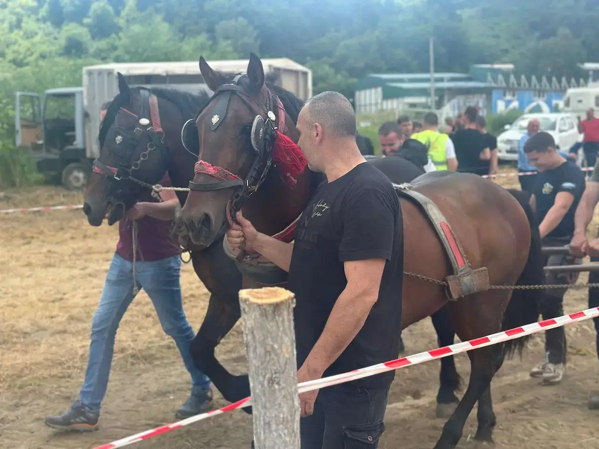 Preko 100 konja iz svih delova Srbije stiglo u ovo dragačevsko selo: Štraparijada u Kotraži dokazala - stari običaji i tradicija još se čuvaju (FOTO)