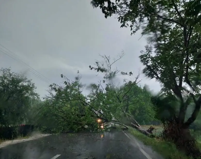 Drveće čupalo iz korena, grom udario u banderu i izazvao požar: Nezapamćeno nevreme pogodilo Kragujevac