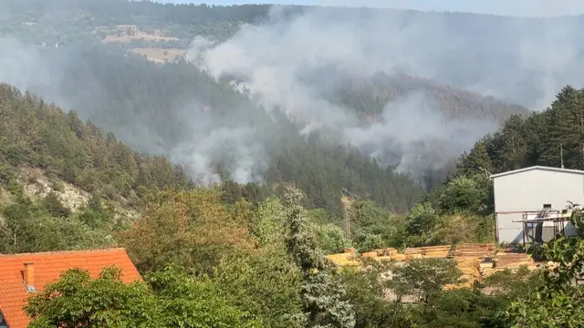 Veliki požari u Ibarskoj dolini / foto: RINA