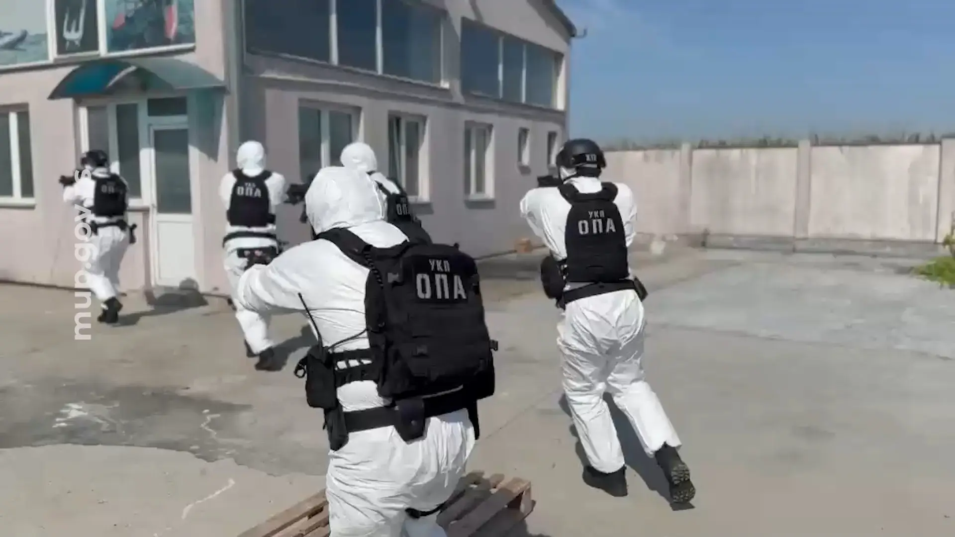 Filmska akcija u Batajnici: Policija otkrila laboratoriju za uzgoj marihuane, zaplenjeno 1.700 biljaka