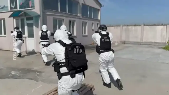 batajnica-laboratorija-za-uzgoj-marihuane-foto-printscreen-mup-srbije_1.1.1.jpg