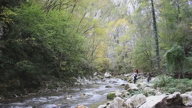 Reka Veliki Rzav jedna od dve najčistije u Srbiji / foto: RINA