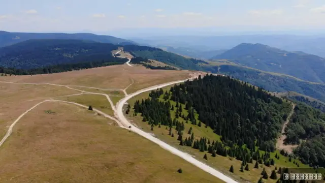 Izvršeno prvo pošumljavanje iz drona u Srbiji ikada/ Foto: RINA